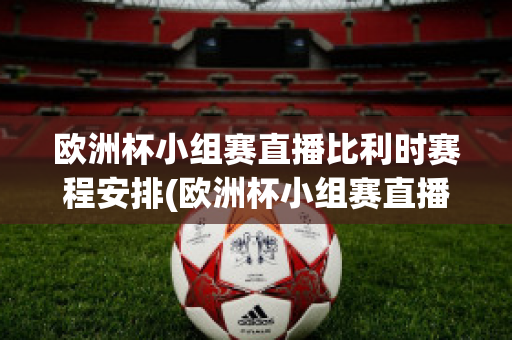 歐洲杯小組賽直播比利時賽程安排(歐洲杯小組賽直播比利時賽程安排最新)