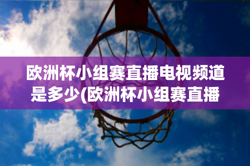 歐洲杯小組賽直播電視頻道是多少(歐洲杯小組賽直播電視頻道是多少啊)