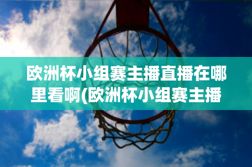 歐洲杯小組賽主播直播在哪里看啊(歐洲杯小組賽主播直播在哪里看啊英文)