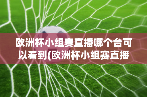 歐洲杯小組賽直播哪個(gè)臺(tái)可以看到(歐洲杯小組賽直播哪個(gè)臺(tái)可以看到比賽)