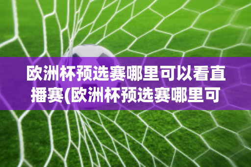 歐洲杯預選賽哪里可以看直播賽(歐洲杯預選賽哪里可以看直播賽果)