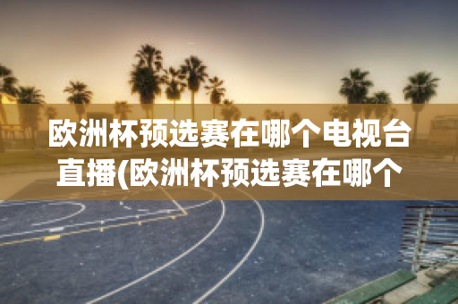 歐洲杯預選賽在哪個電視臺直播(歐洲杯預選賽在哪個電視臺直播過)