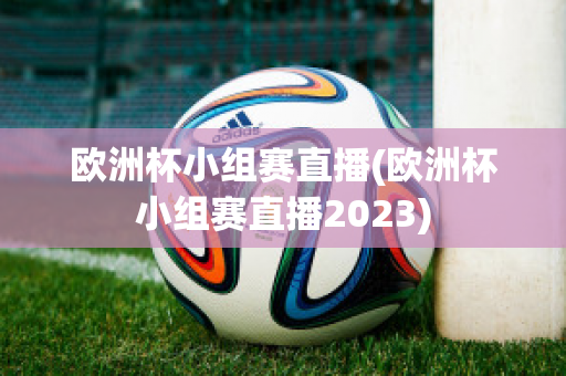 歐洲杯小組賽直播(歐洲杯小組賽直播2023)