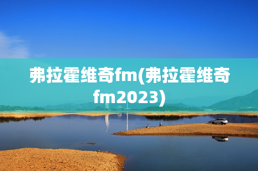 弗拉霍維奇fm(弗拉霍維奇fm2023)