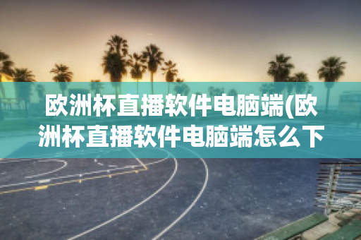 歐洲杯直播軟件電腦端(歐洲杯直播軟件電腦端怎么下載)