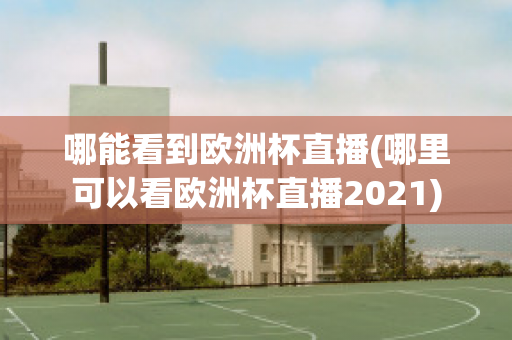 哪能看到歐洲杯直播(哪里可以看歐洲杯直播2021)