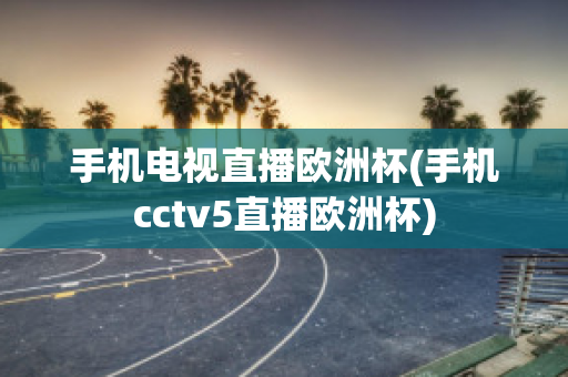 手機電視直播歐洲杯(手機cctv5直播歐洲杯)