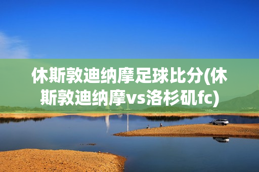 休斯敦迪納摩足球比分(休斯敦迪納摩vs洛杉磯fc)