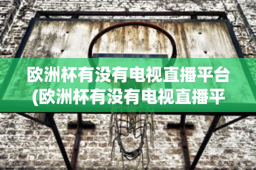 歐洲杯有沒(méi)有電視直播平臺(tái)(歐洲杯有沒(méi)有電視直播平臺(tái)比賽)