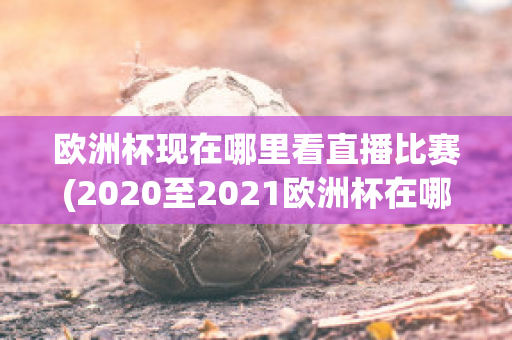 歐洲杯現(xiàn)在哪里看直播比賽(2020至2021歐洲杯在哪里可以看直播)