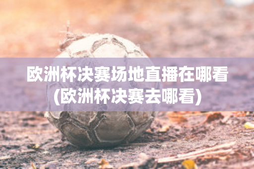 歐洲杯決賽場地直播在哪看(歐洲杯決賽去哪看)