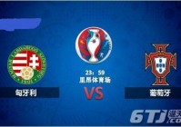 什么頻道直播歐洲杯:什么頻道直播歐洲杯