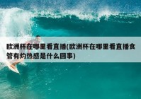 直播歐洲杯掉線:直播歐洲杯掉線怎么回事