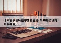 愛奇藝歐洲杯直播解說:愛奇藝歐洲杯直播解說員是誰