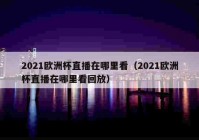 新手怎么看歐洲杯直播視頻:新手怎么看歐洲杯直播視頻教程