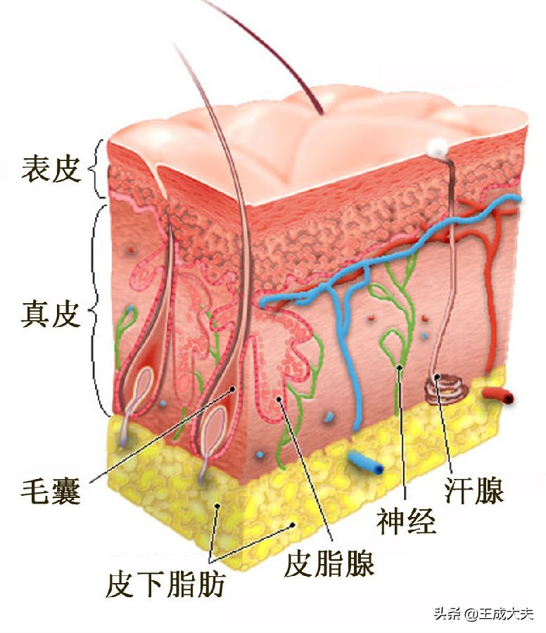 吳江歐洲杯決賽直播:2021歐洲杯蘇州哪里有看的