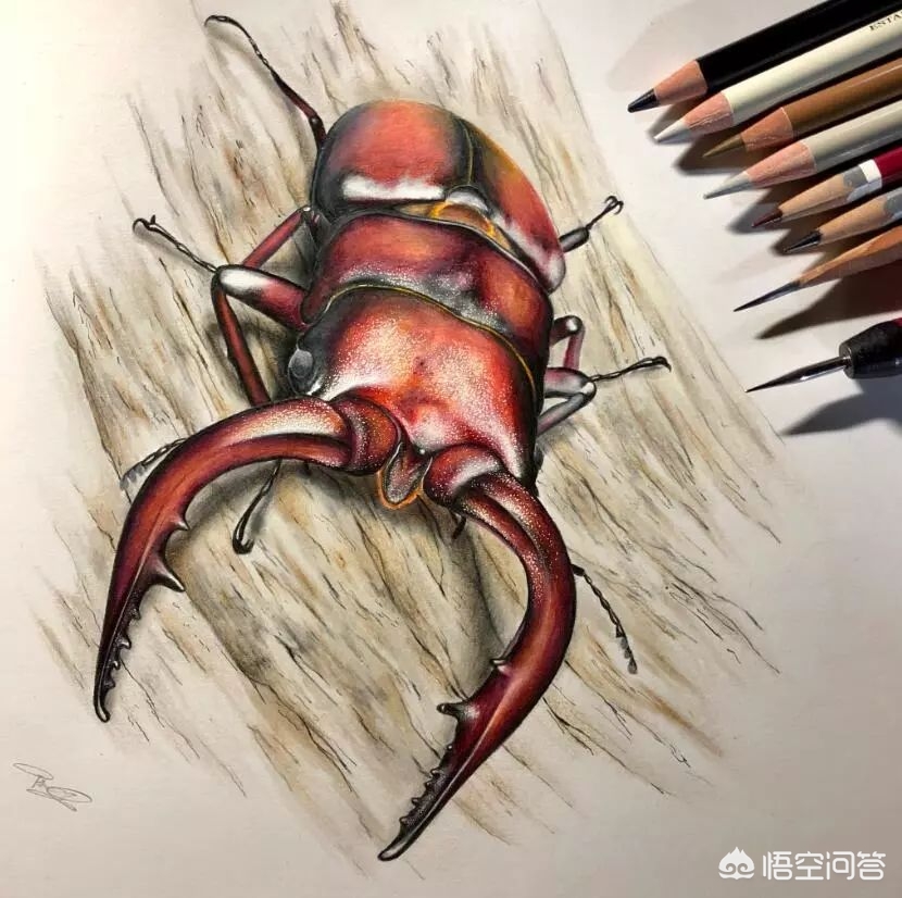 歐洲杯直播運營插畫主題:歐洲杯直播運營插畫主題是什么