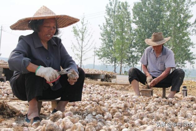 豐縣哪里有歐洲杯直播好去處:豐縣足球