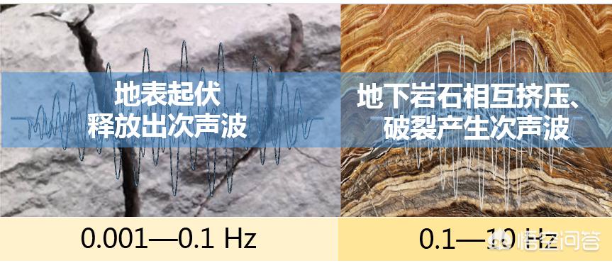 老狗直播歐洲杯:老狗直播歐洲杯比賽視頻