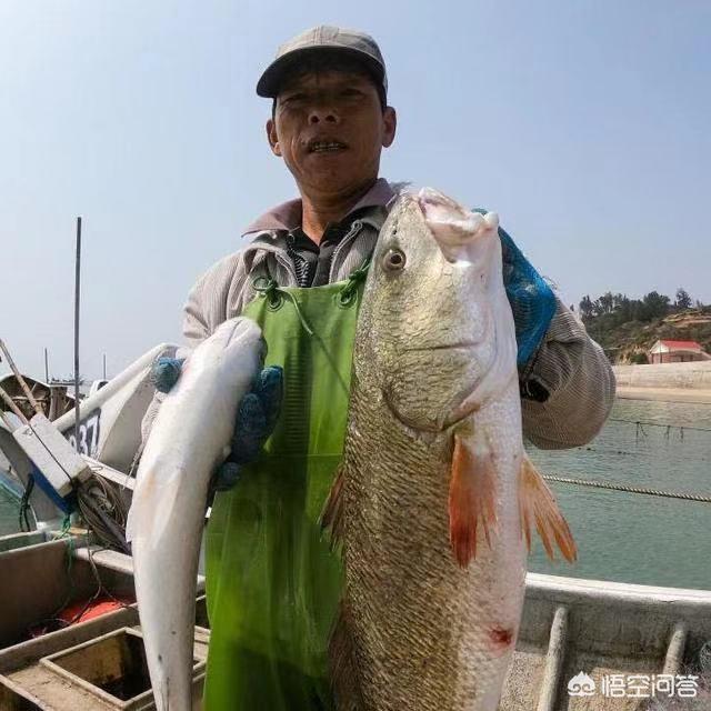 蕉城哪里看歐洲杯直播:蕉城哪里看歐洲杯直播好