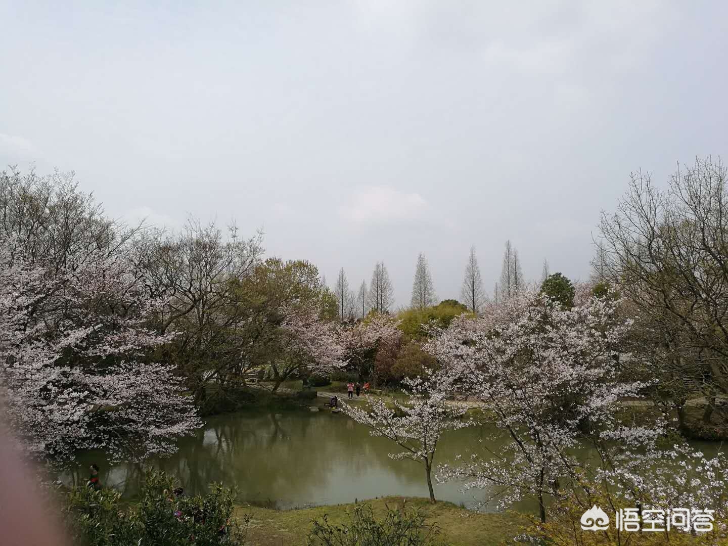 咸寧哪里可以看歐洲杯直播:咸寧哪里可以看歐洲杯直播的