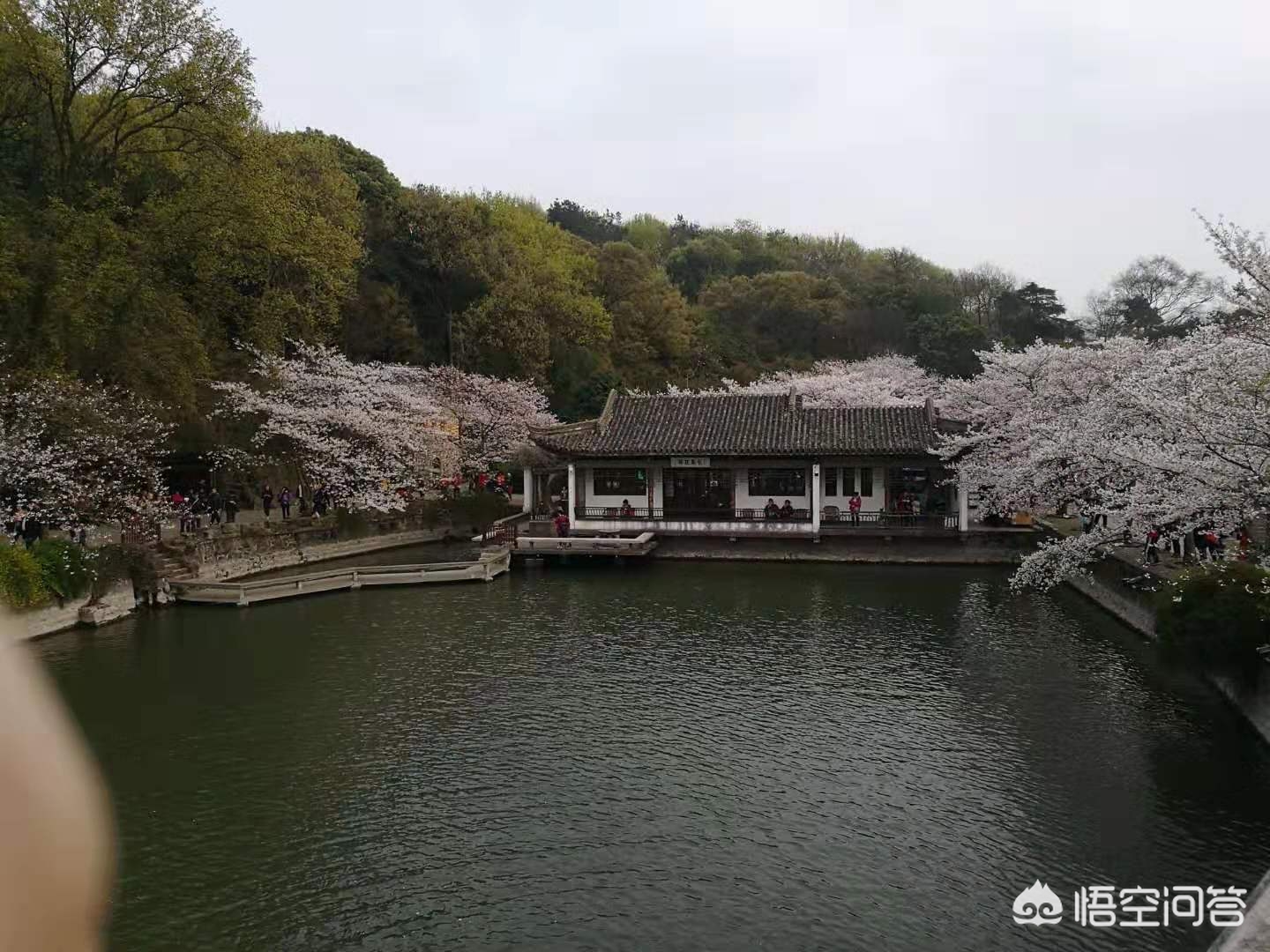 咸寧哪里可以看歐洲杯直播:咸寧哪里可以看歐洲杯直播的