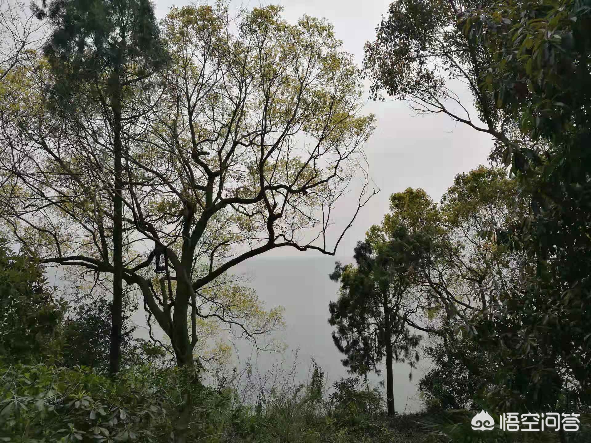 咸寧哪里可以看歐洲杯直播:咸寧哪里可以看歐洲杯直播的