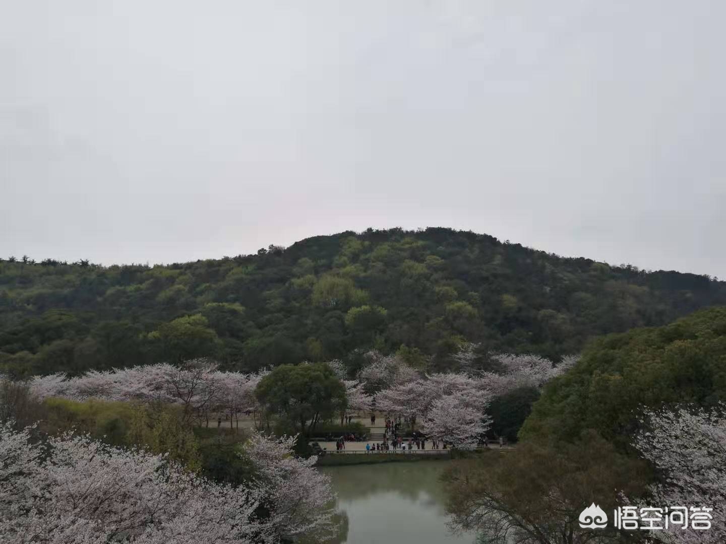 咸寧哪里可以看歐洲杯直播:咸寧哪里可以看歐洲杯直播的