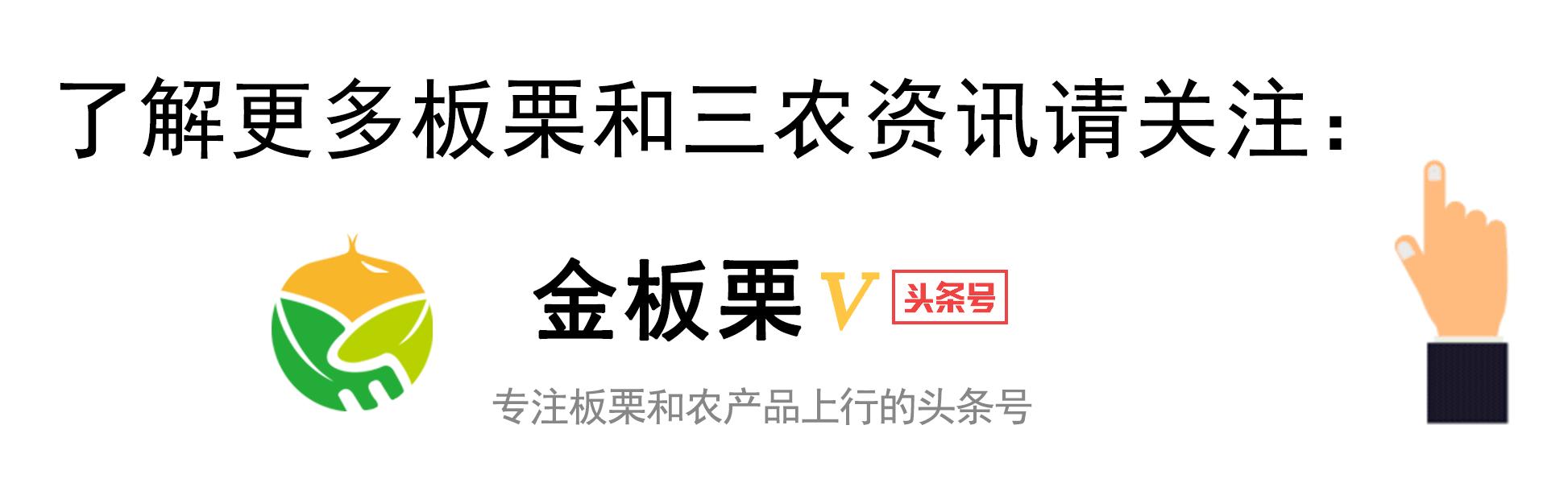 歐洲杯搞笑撿瓶子視頻直播:歐洲杯搞笑撿瓶子視頻直播回放