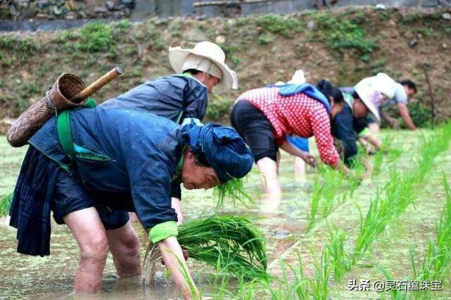 解說(shuō)帝歐洲杯直播:解說(shuō)帝歐洲杯直播在哪看