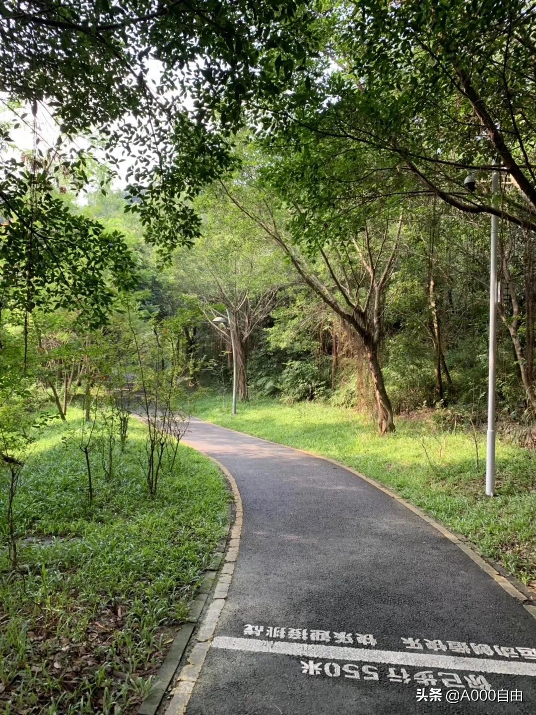 歐洲杯深圳地區(qū)直播:歐洲杯深圳地區(qū)直播視頻