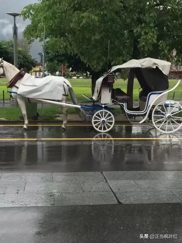 肇慶看歐洲杯直播的地方:肇慶看歐洲杯直播的地方有哪些