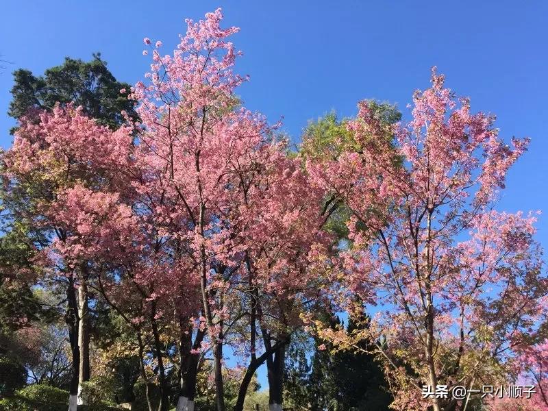 臨汾哪里能看歐洲杯直播:在哪里能看臨汾一臺(tái)