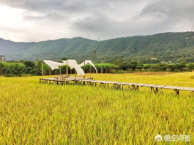 惠州歐洲杯直播平臺(tái)有哪些:惠州歐洲杯直播平臺(tái)有哪些公司