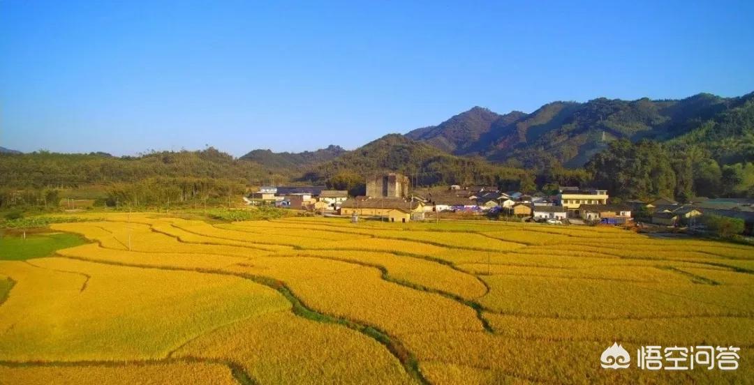 惠州歐洲杯直播平臺(tái)有哪些:惠州歐洲杯直播平臺(tái)有哪些公司