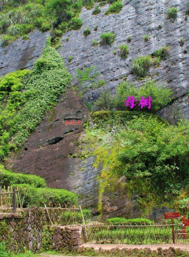 永豐哪里可以看歐洲杯直播:永豐哪里可以看歐洲杯直播的