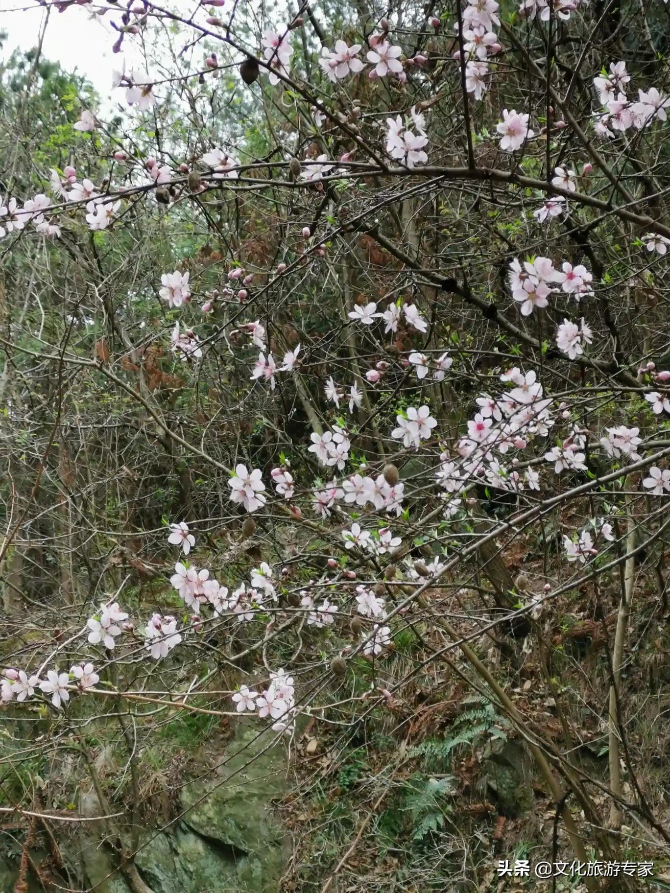 歐洲杯凱歌在線直播:歐洲杯凱歌在線直播觀看