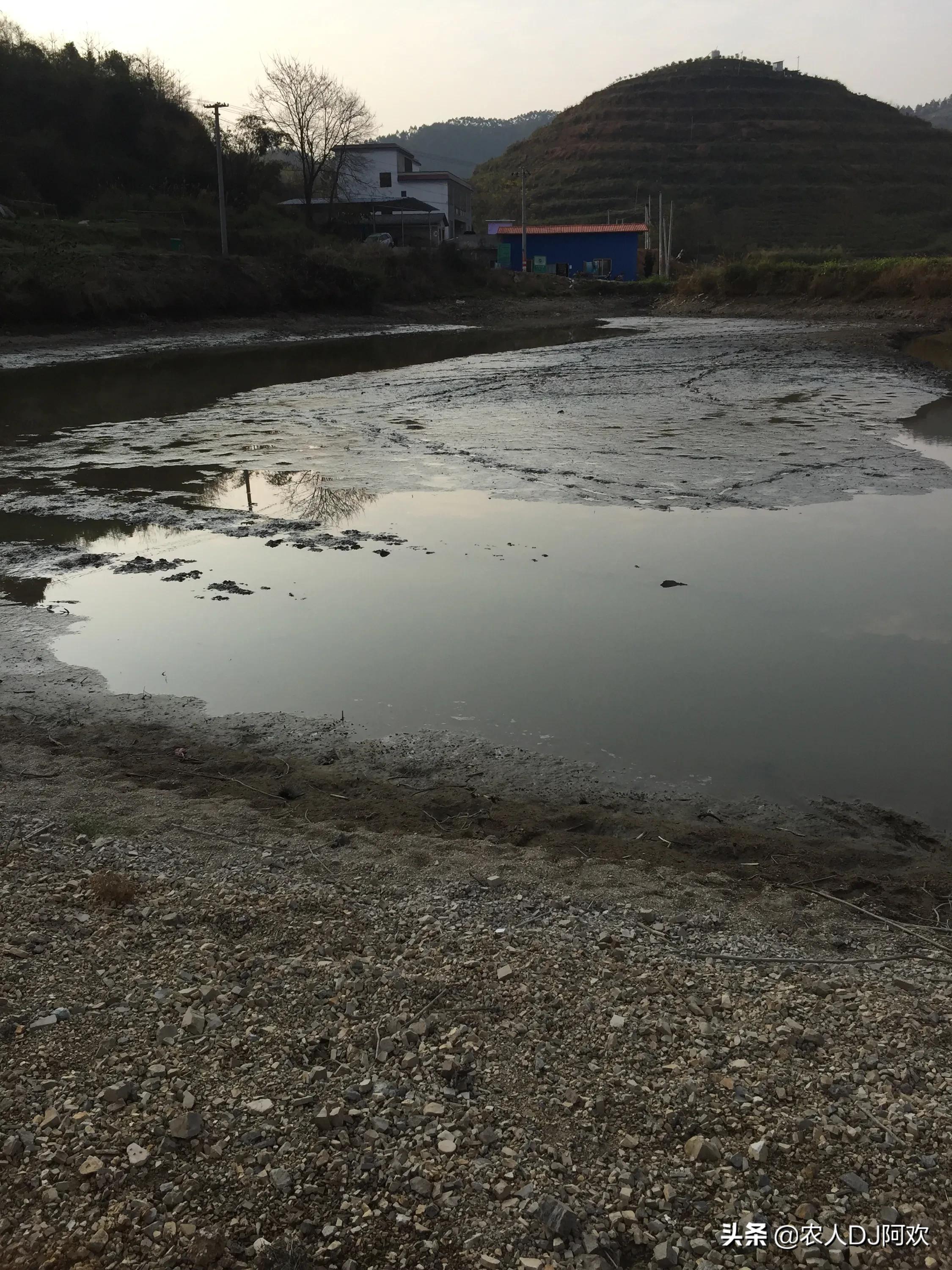 柳州小龍蝦歐洲杯直播時間:柳州市小龍蝦餐廳