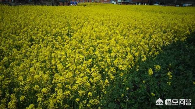 昆明歐洲杯大屏幕直播:昆明歐洲杯大屏幕直播地址