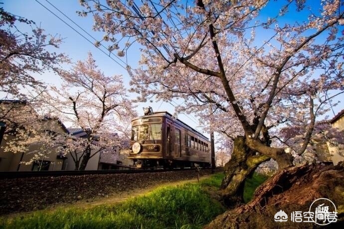 眉山哪里看歐洲杯直播的:眉山哪里看歐洲杯直播的好