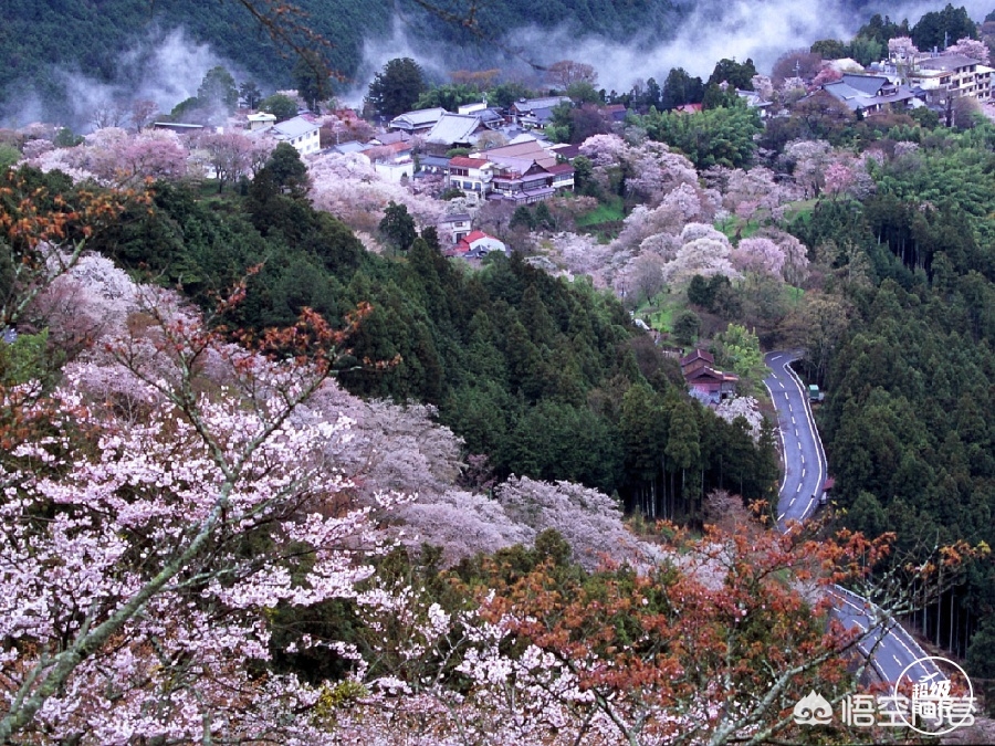 眉山哪里看歐洲杯直播的:眉山哪里看歐洲杯直播的好