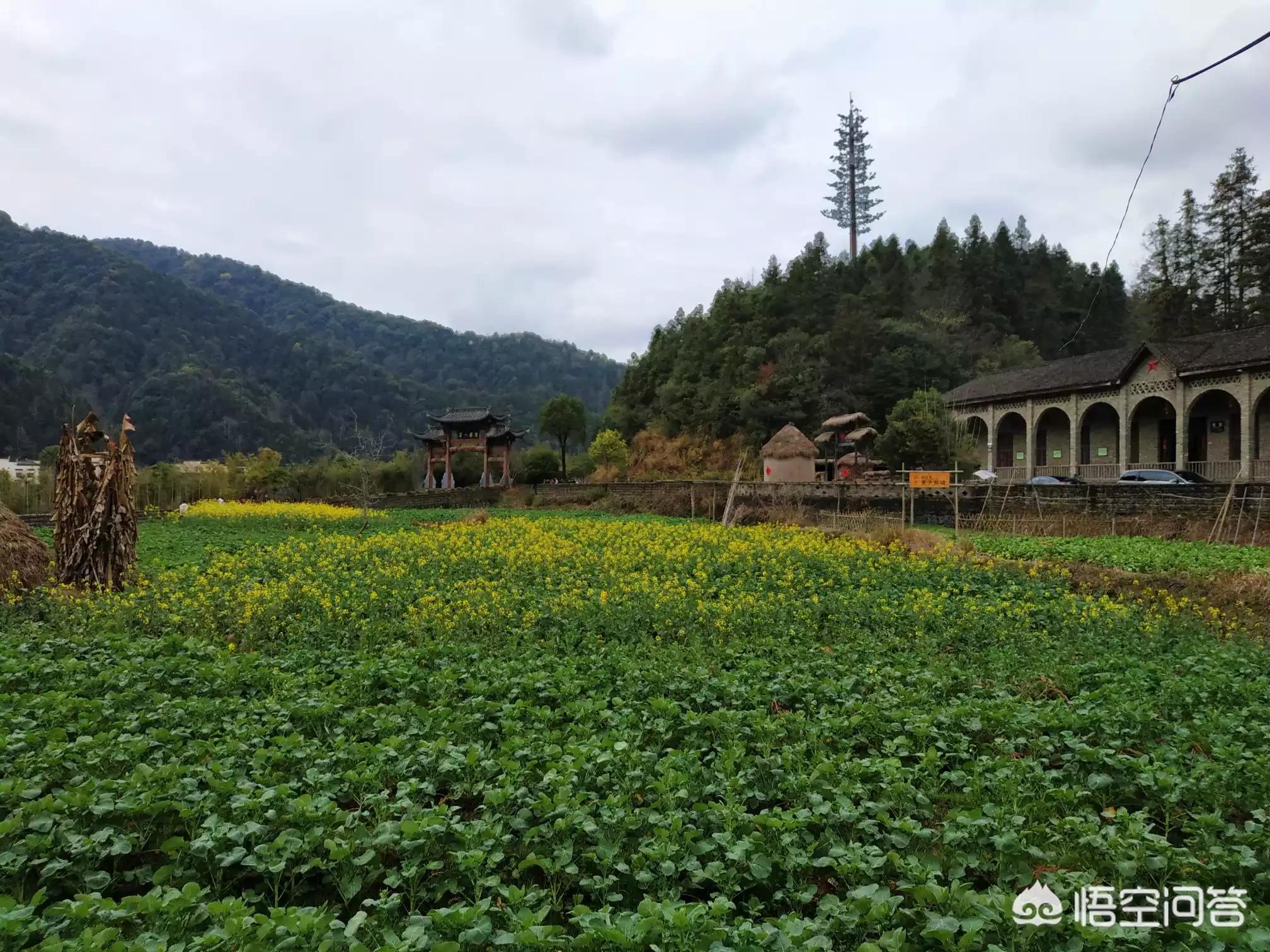 云南電視臺直播歐洲杯:云南電視臺直播歐洲杯比賽