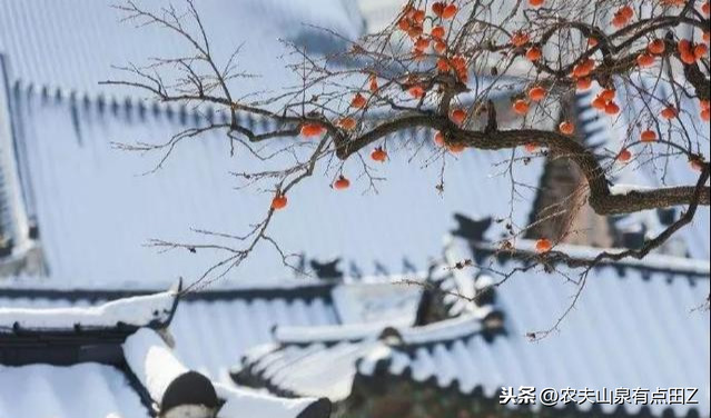 花椒和歐洲杯直播的區(qū)別:花椒和歐洲杯直播的區(qū)別是什么