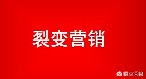 歐洲杯直播背后暗藏的云技術(shù):歐洲杯獨家直播平臺