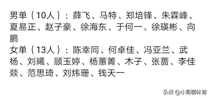 捷克陣容分析:捷克陣容分析最新消息