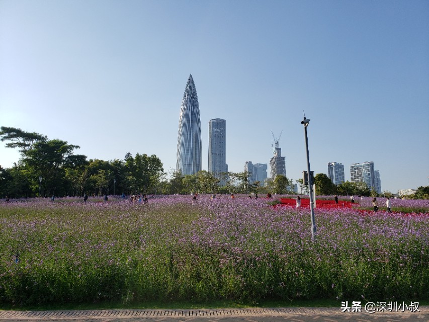 惠州歐洲杯直播時間表:惠州歐洲杯直播時間表最新