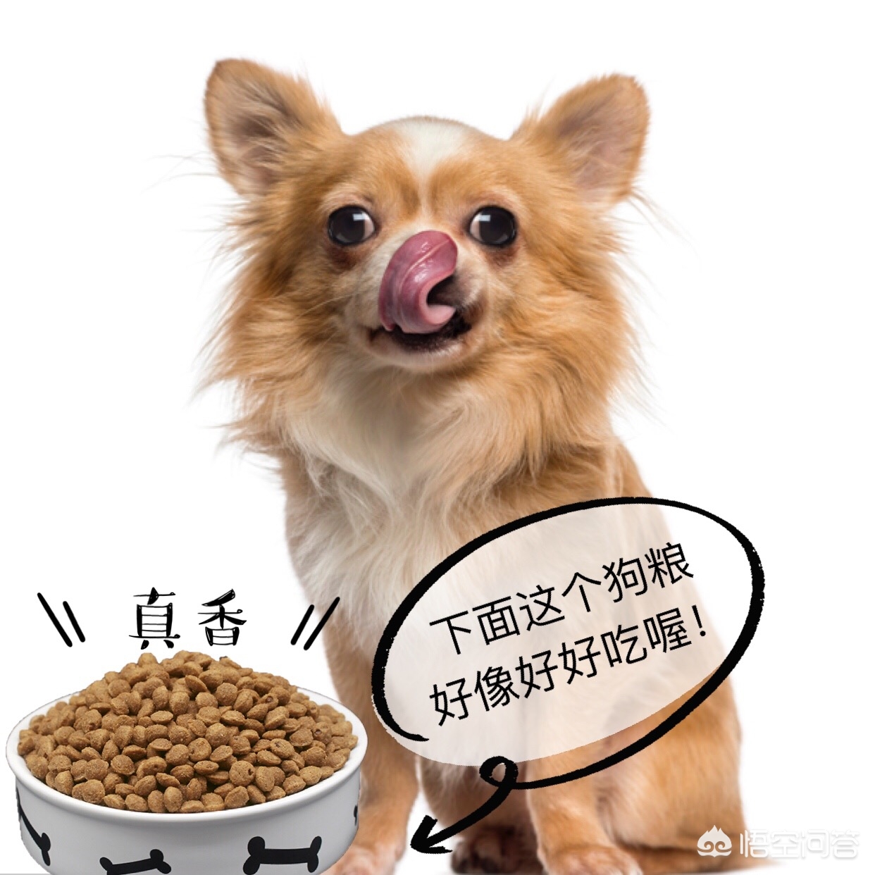 歐洲杯直播沙皮:歐洲杯直播 解說